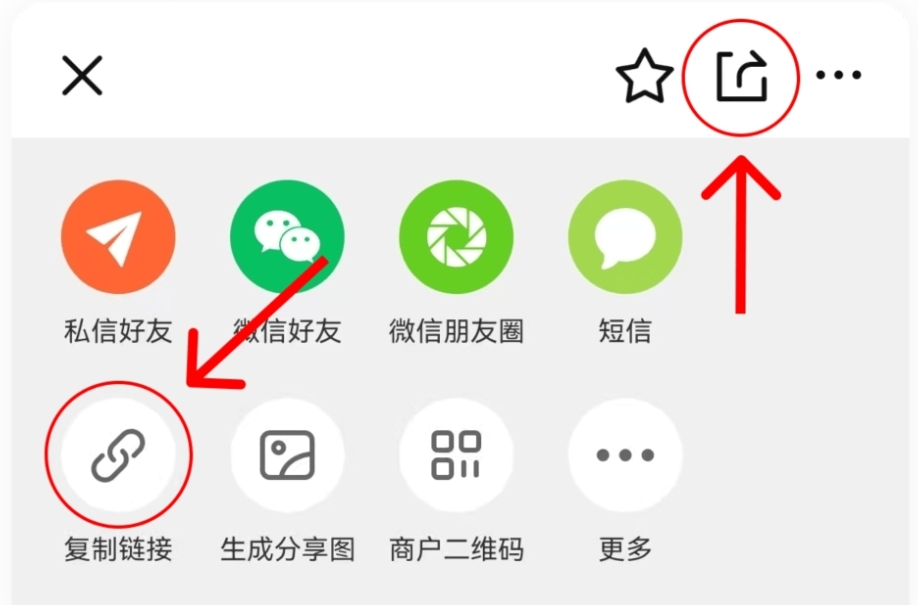 大众点评门店页点击分享，再选择复制链接的操作指引